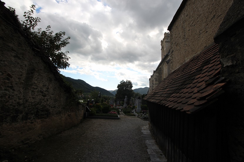 IMG_0008.jpg