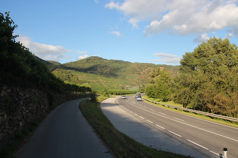 IMG_0035.jpg
