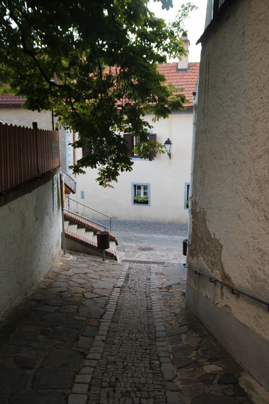 IMG_0124.jpg