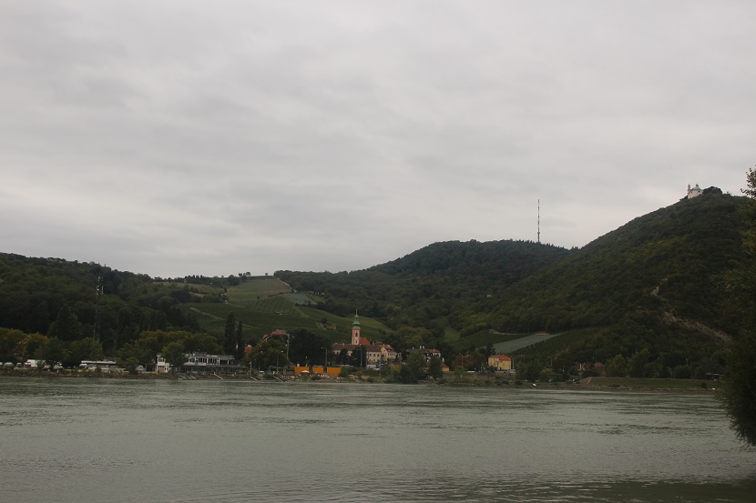 IMG_0481.jpg