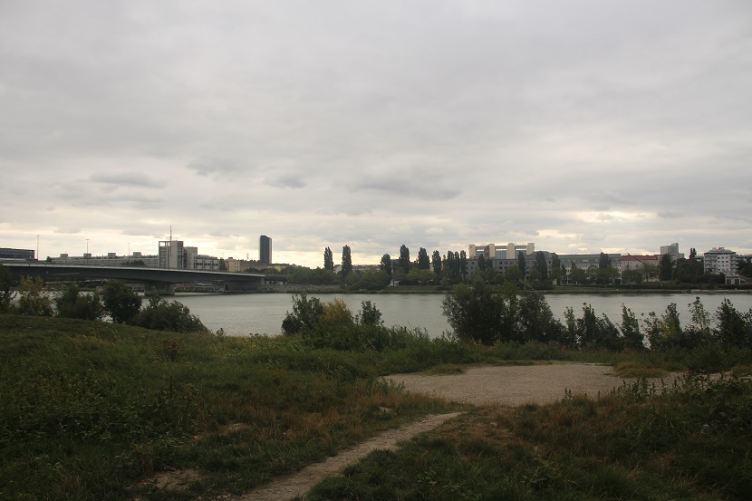 IMG_0504.jpg