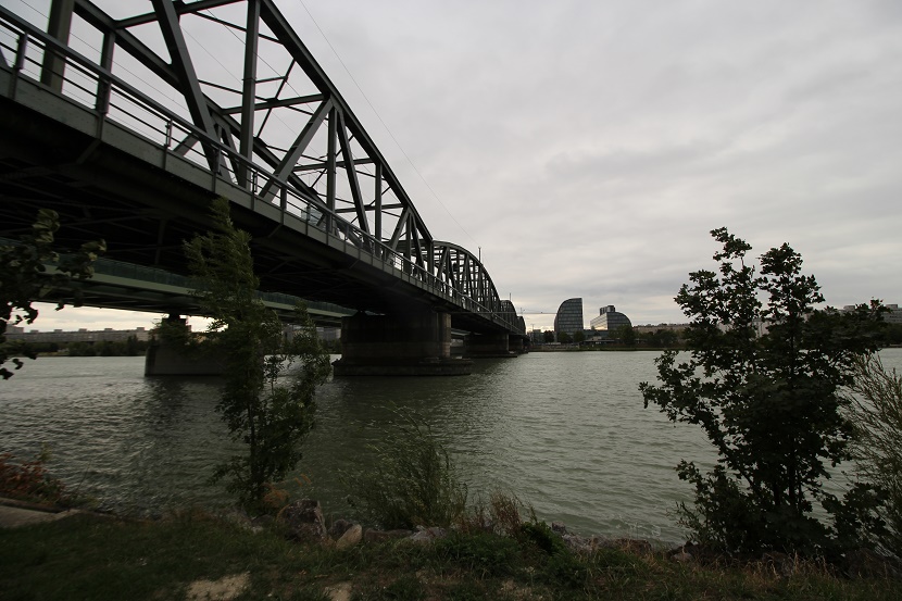 IMG_0511.jpg