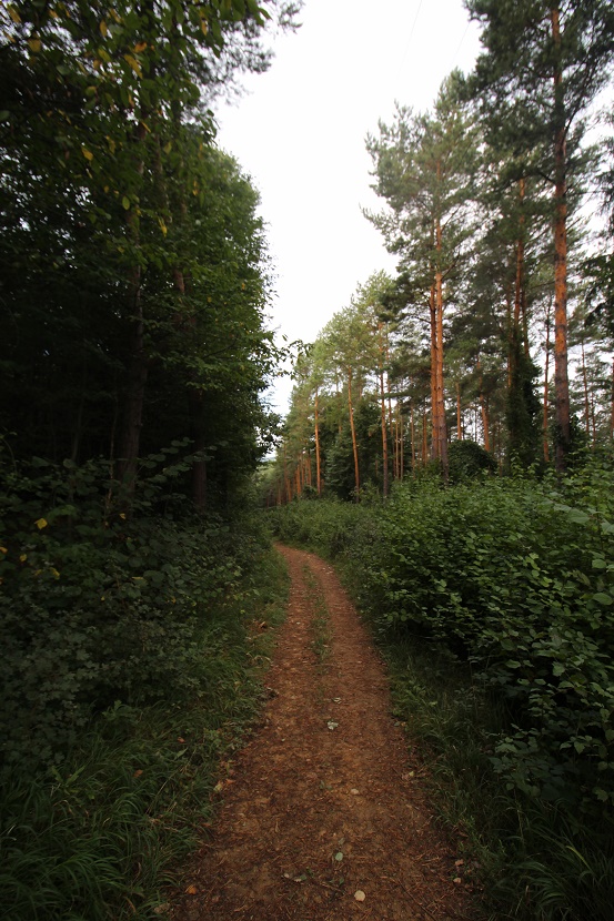 IMG_0570.jpg