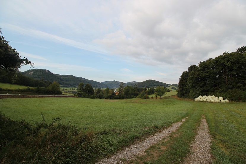 IMG_0573.jpg