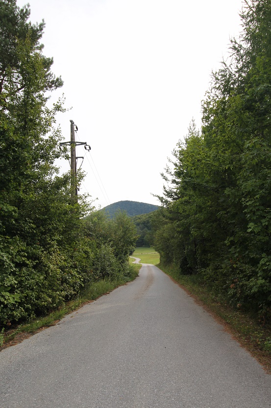 IMG_0656.jpg