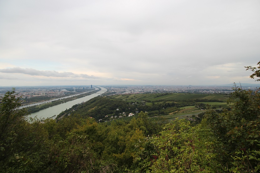 IMG_8666.jpg