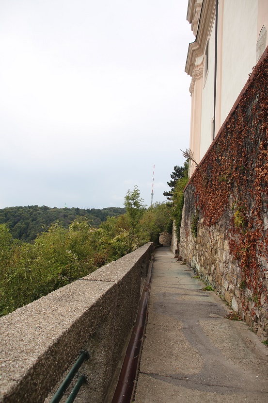 IMG_8669.jpg