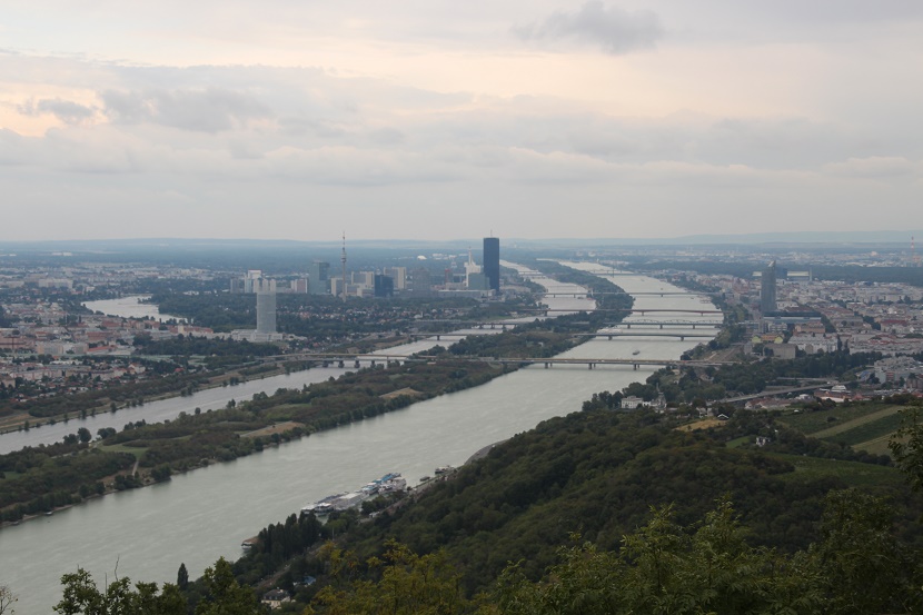 IMG_8675.jpg