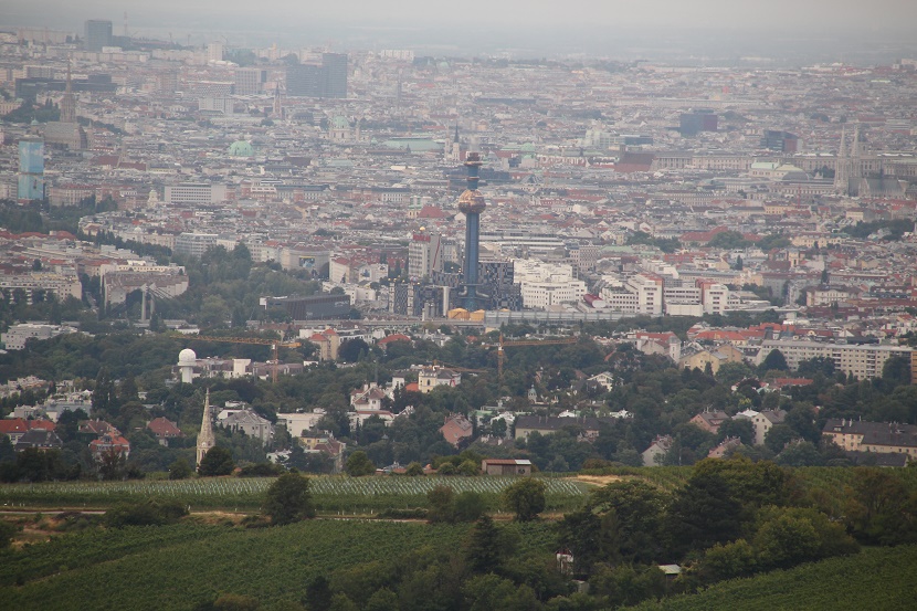 IMG_8678.jpg
