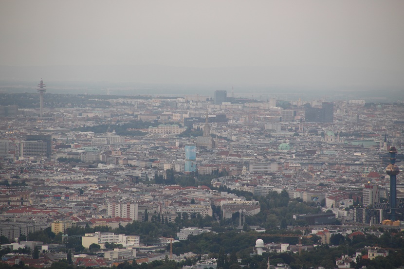 IMG_8686.jpg