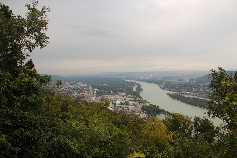IMG_8697.jpg