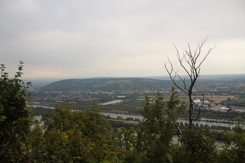IMG_8710.jpg