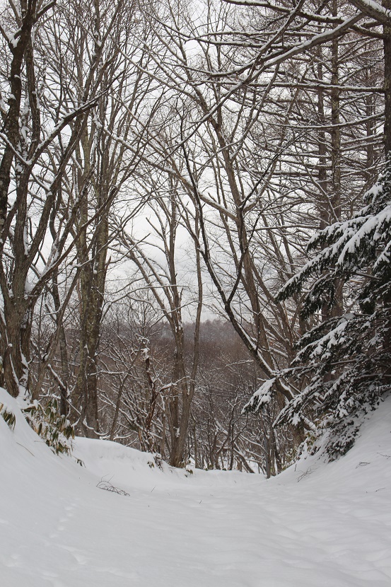 IMG_0974.jpg