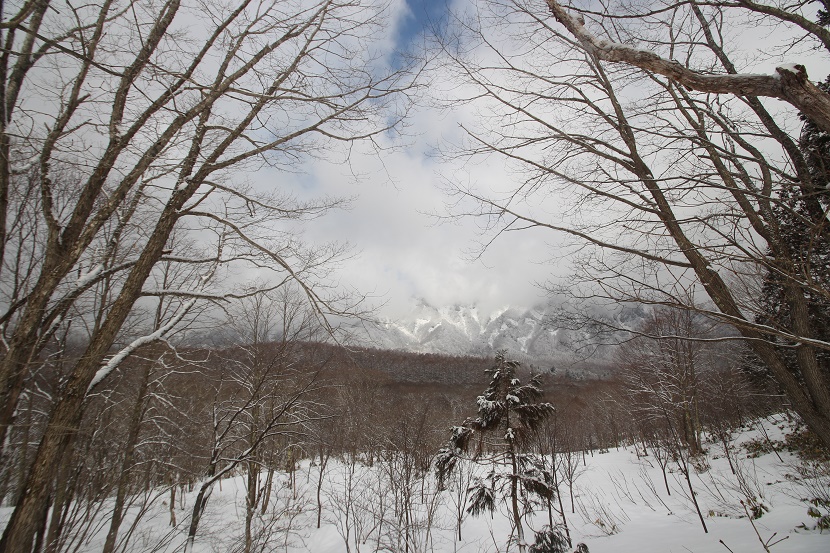 IMG_1004.jpg
