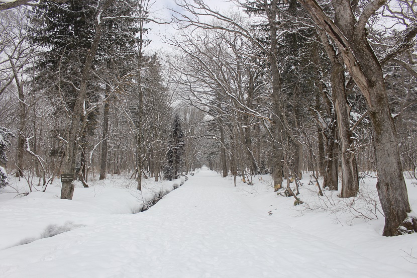 IMG_1059.jpg