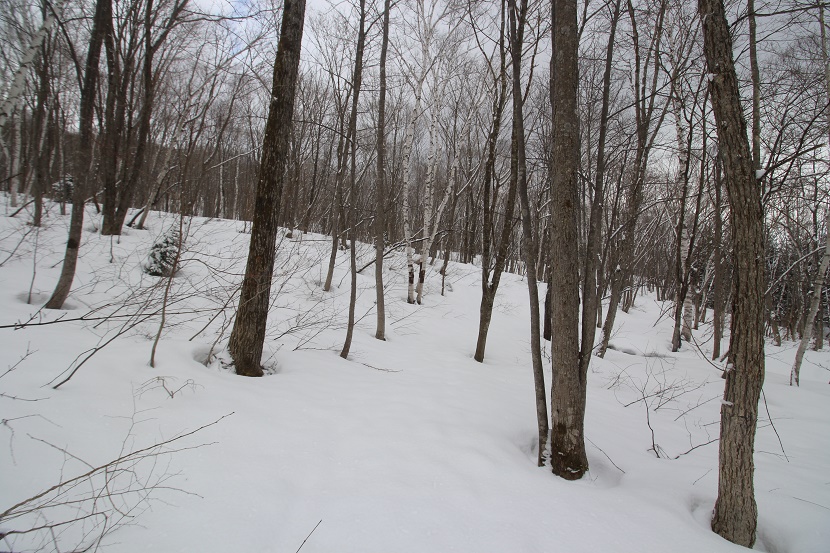 IMG_1437.jpg