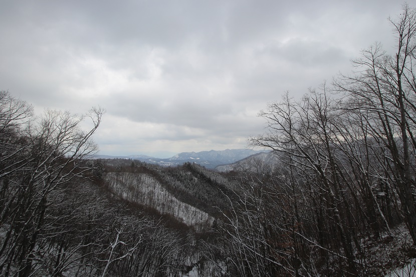 IMG_1454.jpg