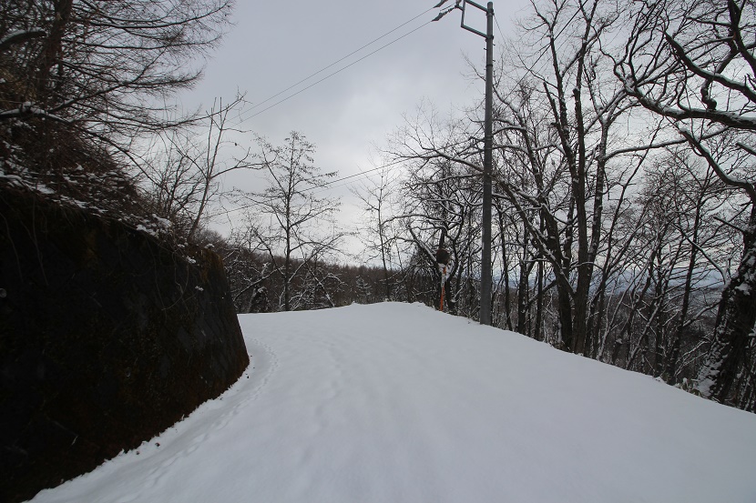 IMG_1459.jpg