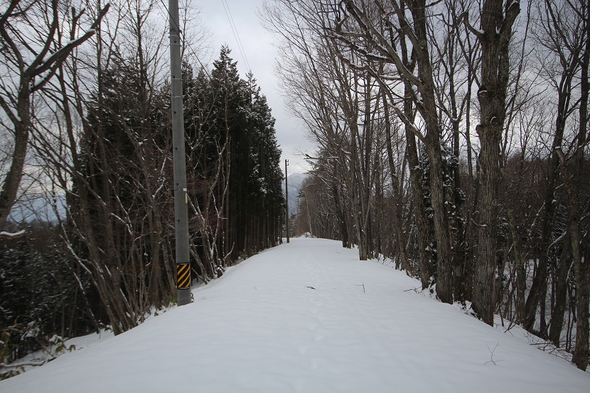 IMG_1465.jpg