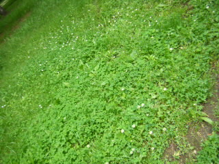BLOG80490001.jpg
