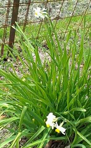 IMAG0712-1.jpg