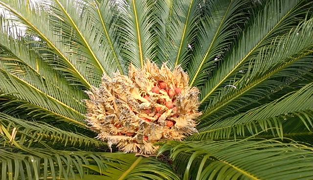 IMAG0714.jpg