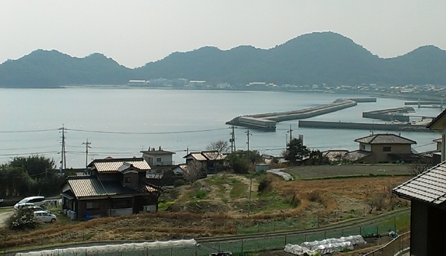 IMAG0711.jpg