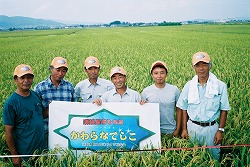 河北南部良質米づくり研究会
