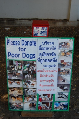 犬たちにおいしいまんまを!
