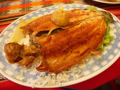P1200641.JPG