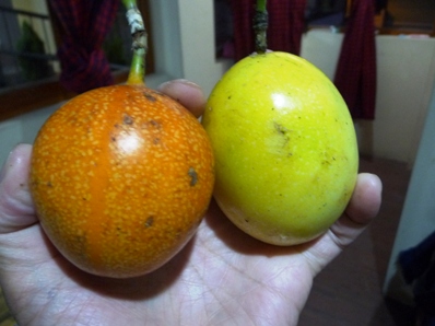 P1220135.JPG