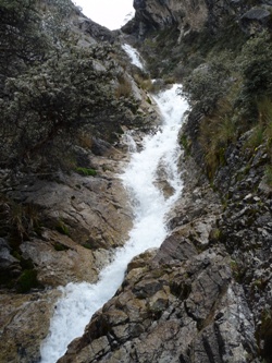P1220184.JPG