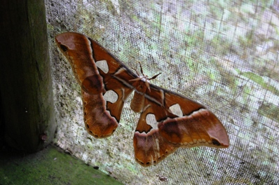 DSC_4817.JPG