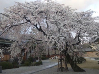120401_175215_ed.jpg