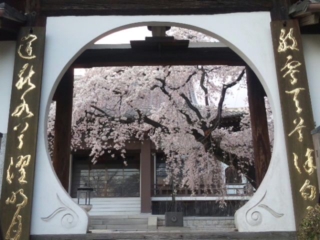 120401_175954_ed.jpg
