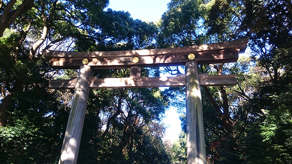 明治神宮・南門鳥居