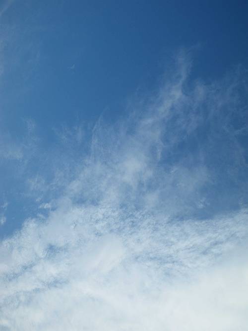 いわし雲?