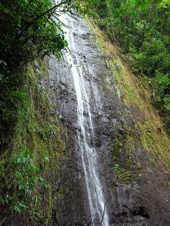 manoa