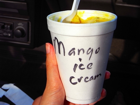 mangoice