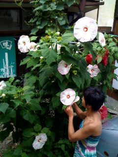 jpg01~01.jpg