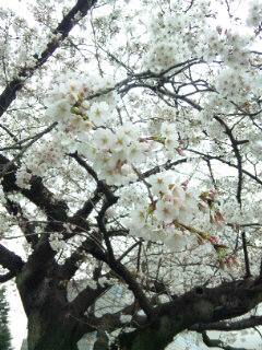 110403_131142.jpg