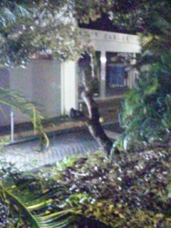 111030_200553.jpg