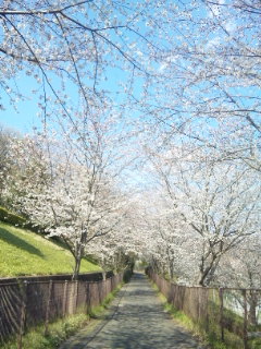 120409_144044.jpg