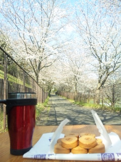 120409_144649.jpg