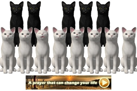 Piano Cats Free