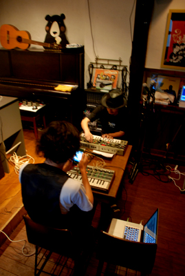 PALM GROOVE