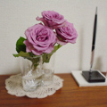 roses