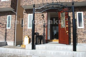 有限会社青空計画(あおぞら計画)チョコ 散歩用ひもをかけて足洗い場を眺めている 有限会社青空計画(あおぞら計画)チョコ 散歩用ひもをかけて足洗い場を眺めている画像