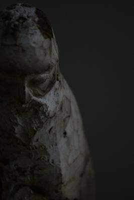 DSC_0477.JPG