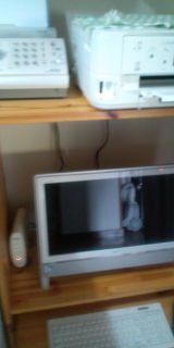 20110418110205.jpg